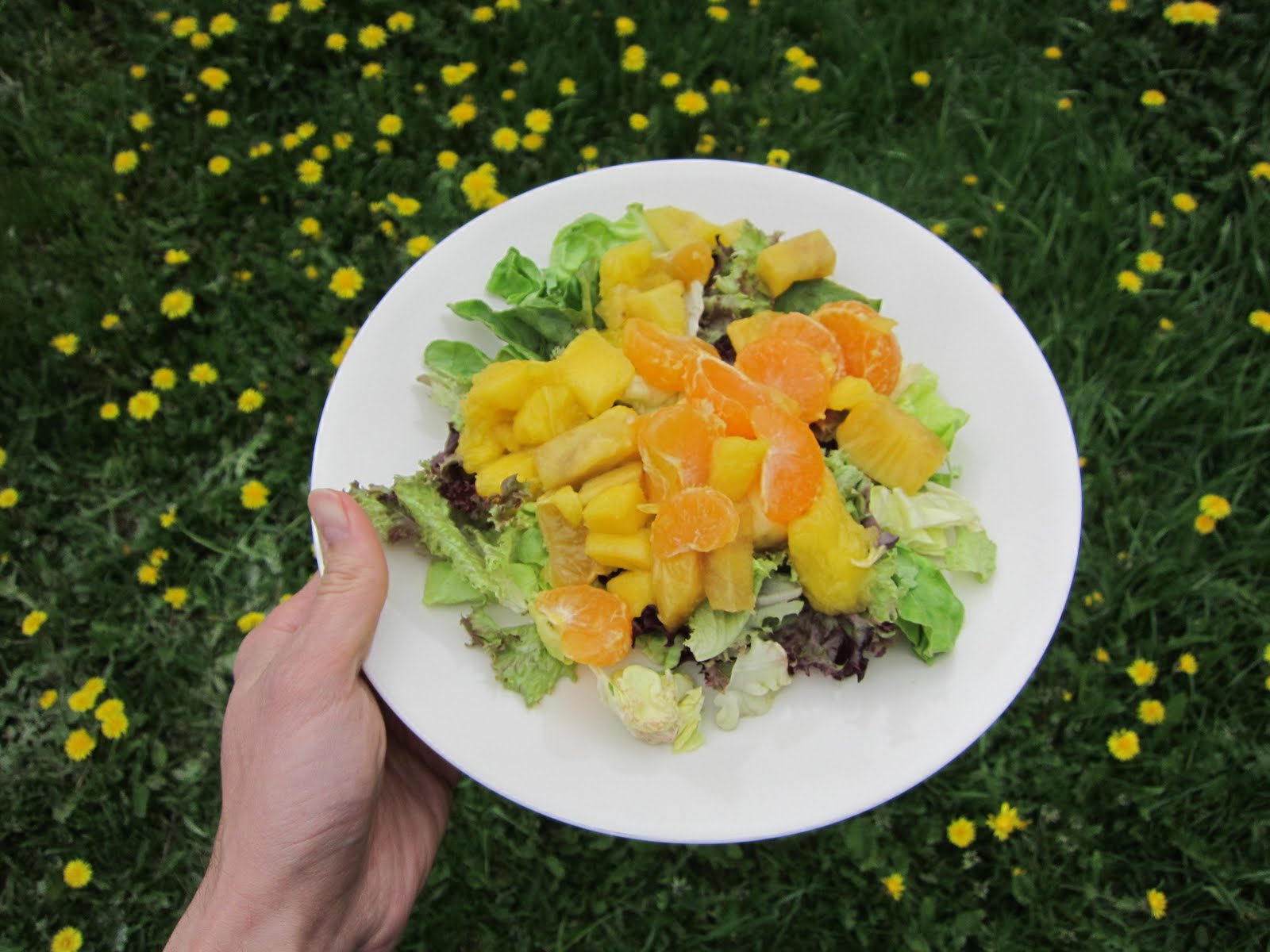 Vegg On the Rock Satsuma Orange, Mango, and Pineapple Salad