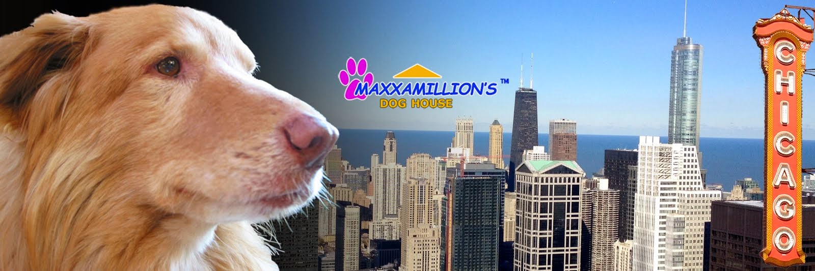 Maxxamillion's  Dog Blog