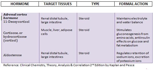 General Concepts of Endocrinology | Clinical Chemistry Blog Notes 27E