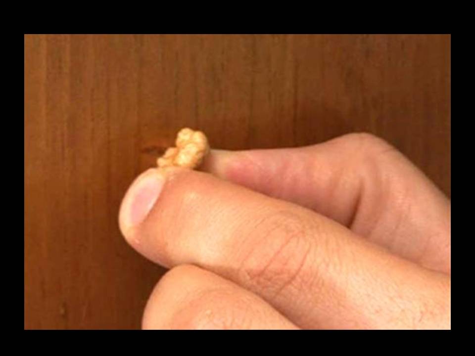 TRUCOS Y CONSEJOS CASEROS: TRUCO PARA REPARAR ARAÑAZOS EN LA MADERA