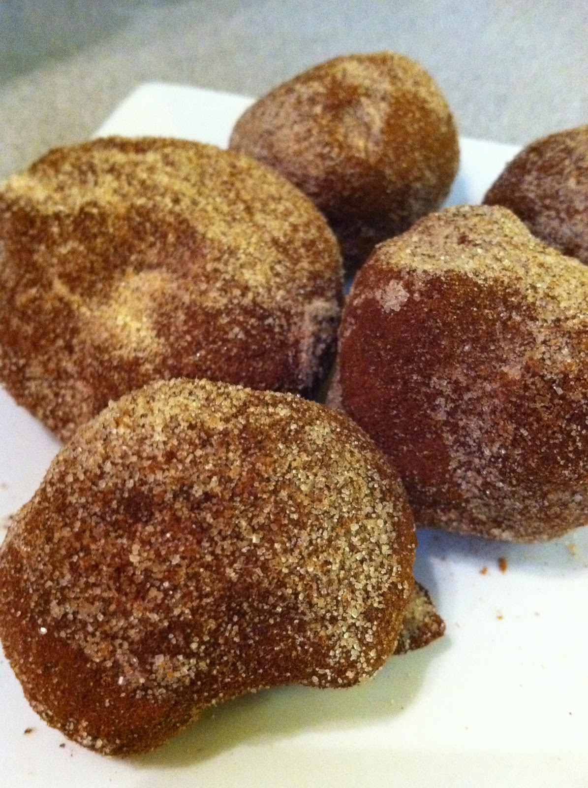 Alton Brown's Yeast Donuts