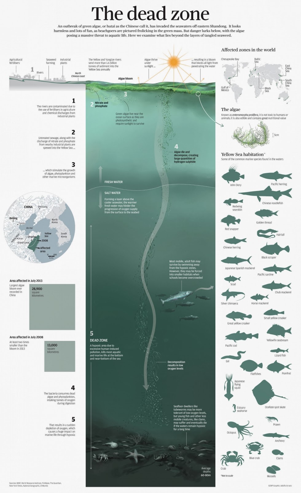 Infográficos premiados 2 death zones web 100