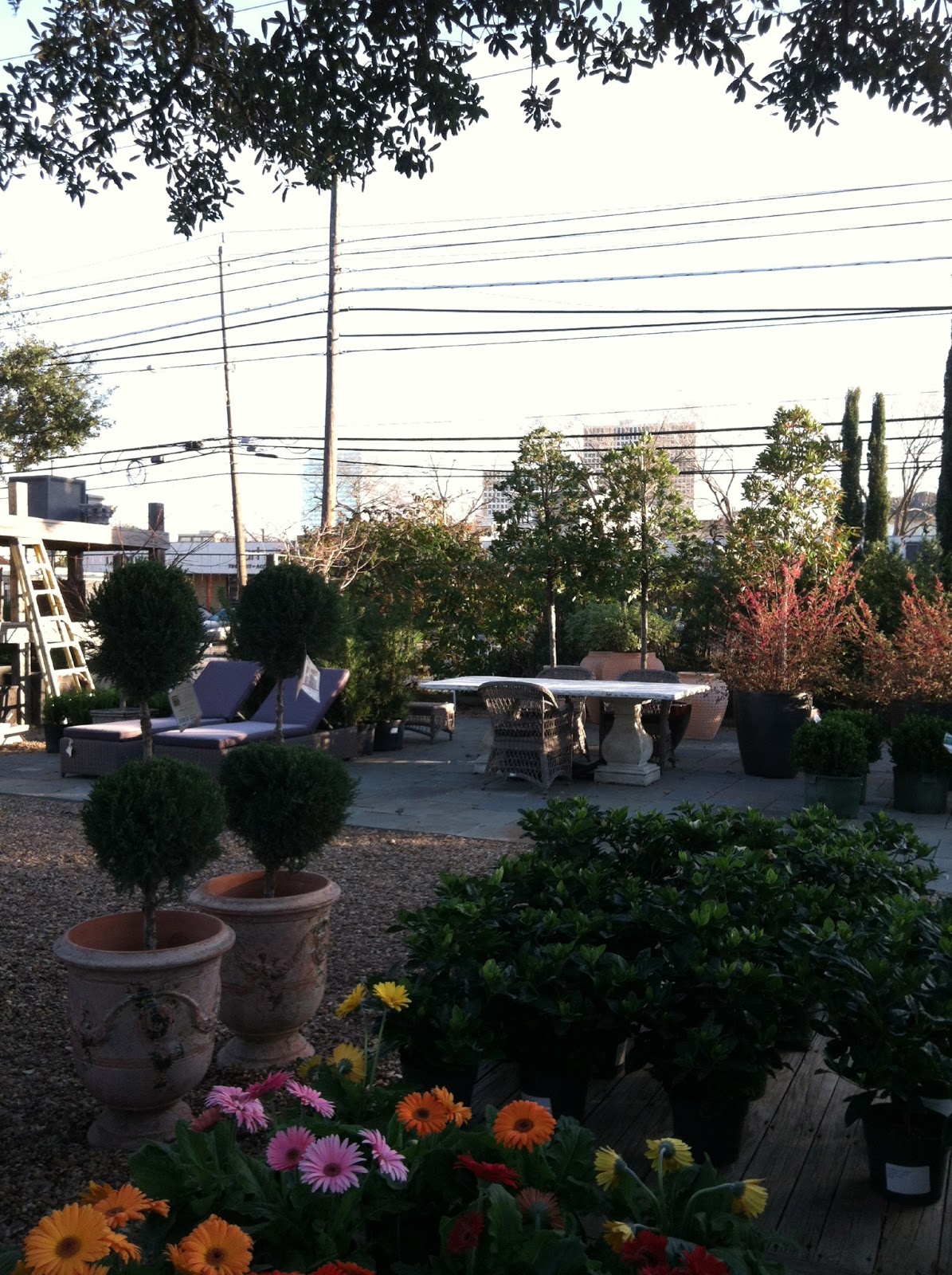 information about home design MORE STYLISH SHOPPING IN HOUSTON