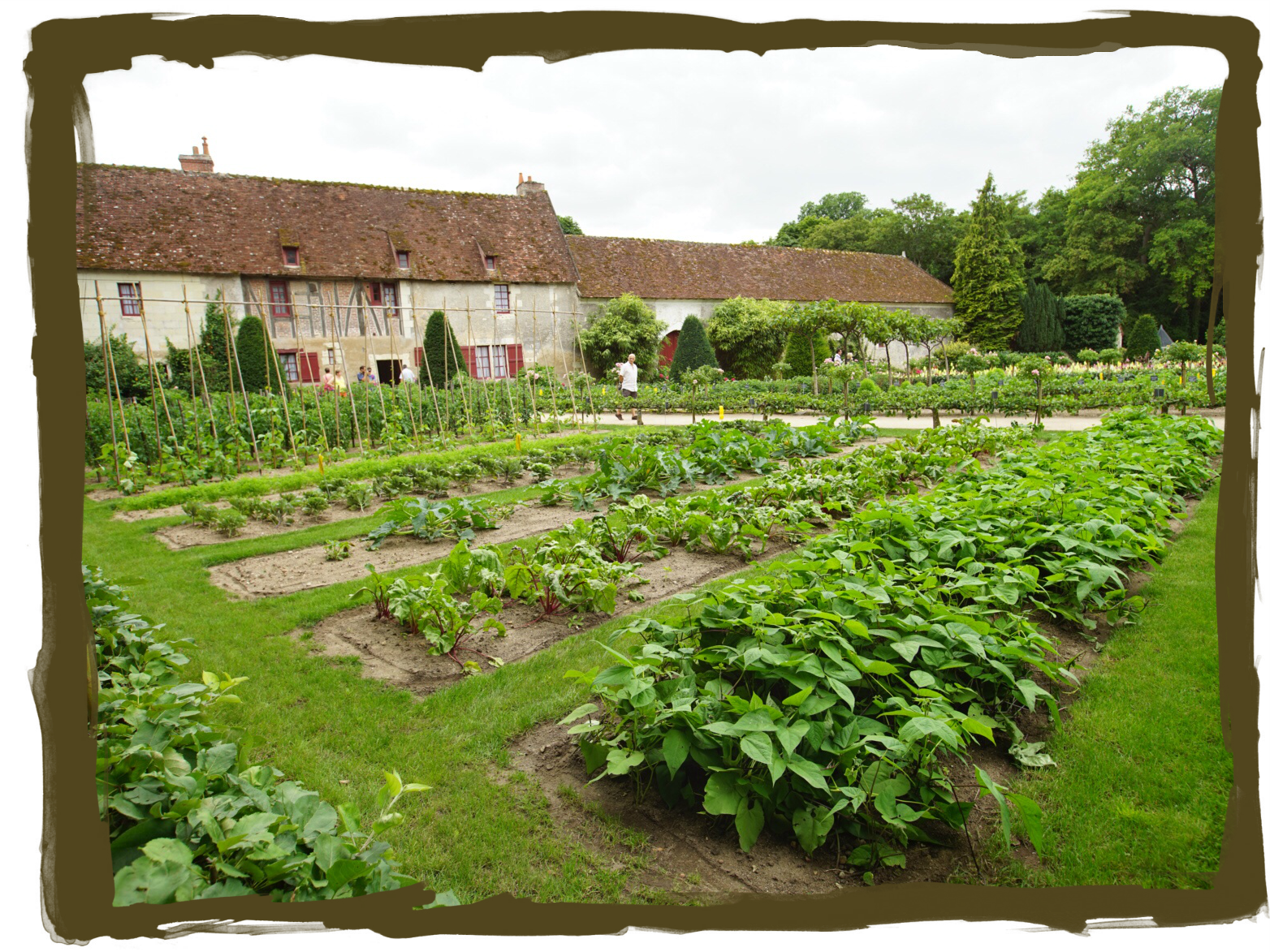 have some decorum Potager...That's Fancy for Veggie Garden