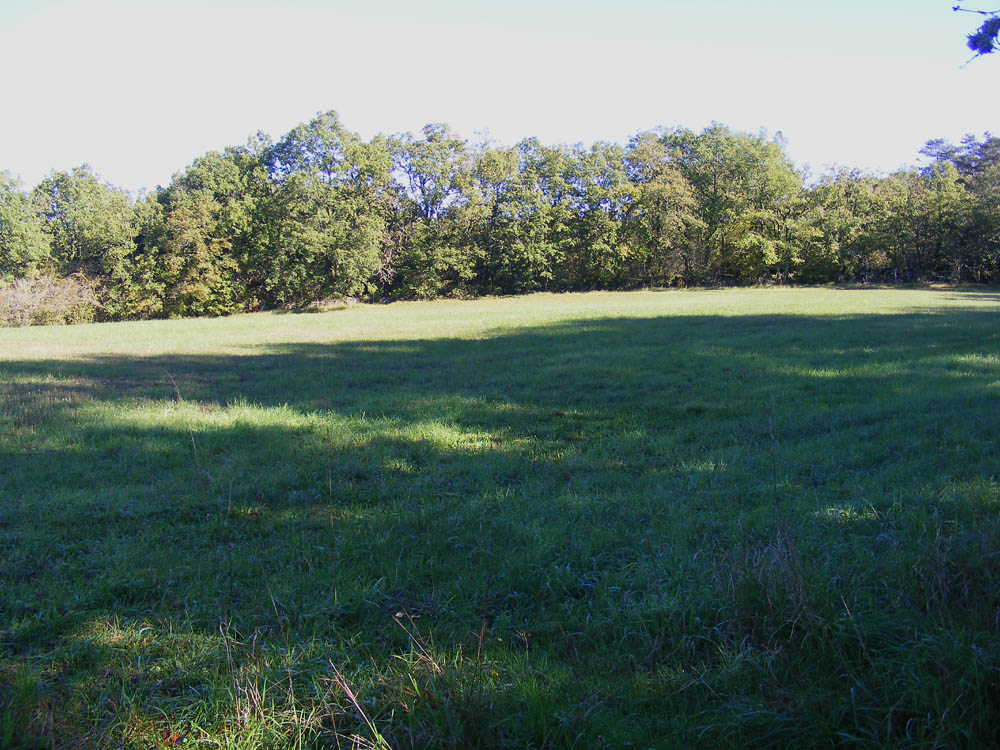 Loire Valley Nature Calcareous Grassland