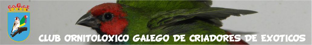 C.O.G.C.E. Club Ornitolóxico Galego de Criadores de Exóticos