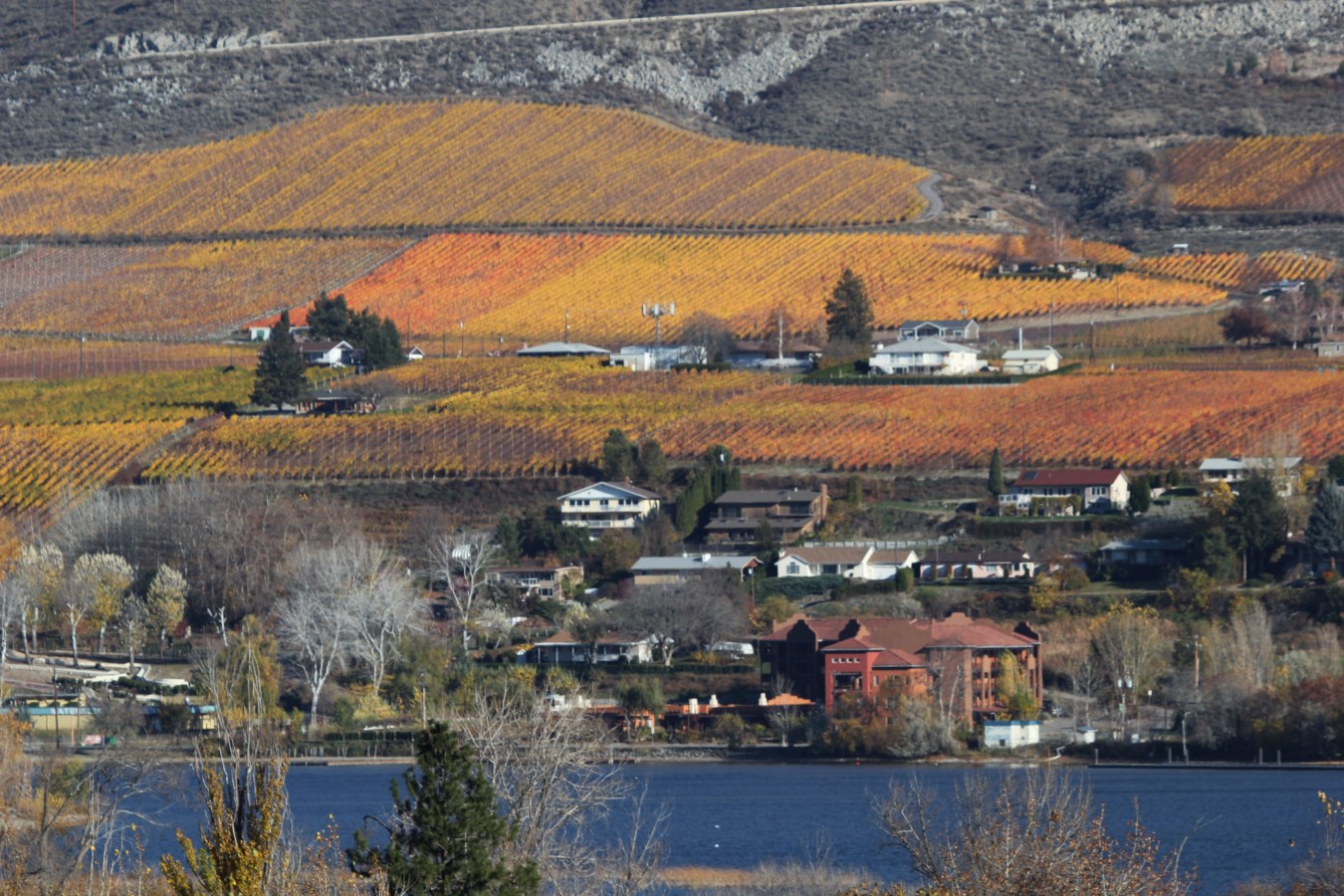 Sunshine and Wine, Penticton, BC..vacation rental in the Okanagan