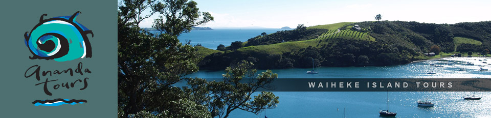 Waiheke Island Tours