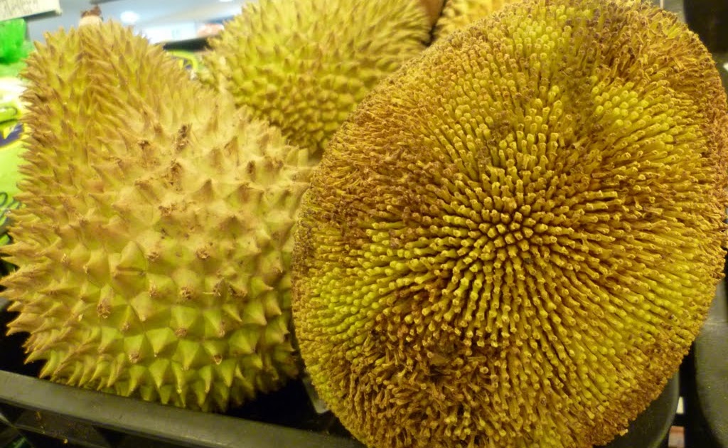 Science Based Cuisine Fruity Spikes