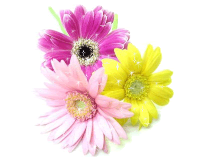 Gif_Paradise: FLOWER GIFS