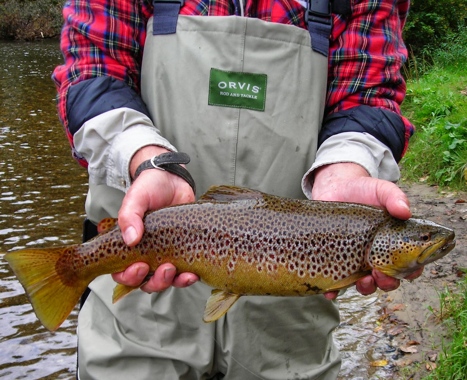 Vermont Fly Fishing Fall Trout Fishing in Vermont