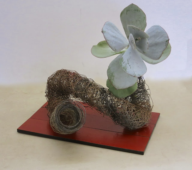 ROADSIDE IKEBANA SUCCULENTS AND UNCONVENTIONAL MATERIALS