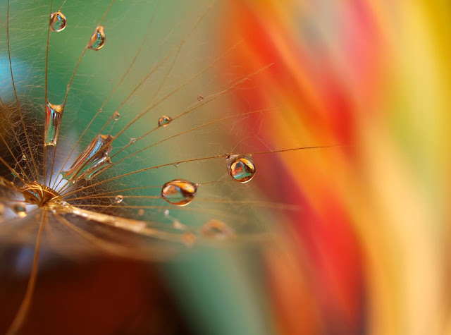 Fine arts: Top Photos from Creative Photography