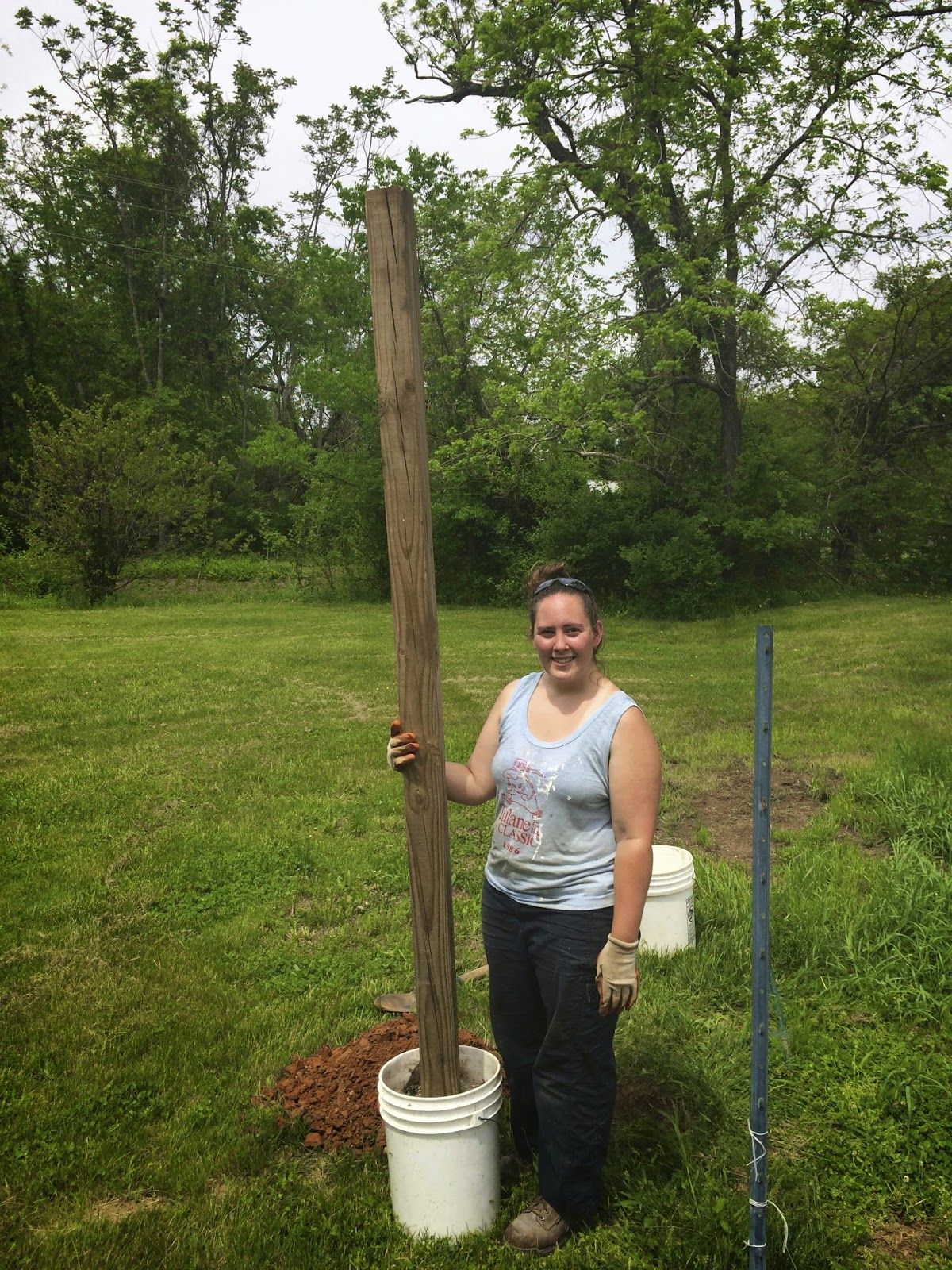 Fixettwell Farmlet A Quick & Cheap Deer Fence