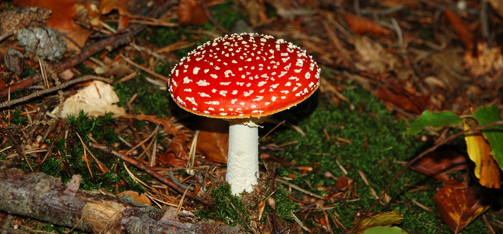 Heen en terug naar de ardÃche: oktober 2012