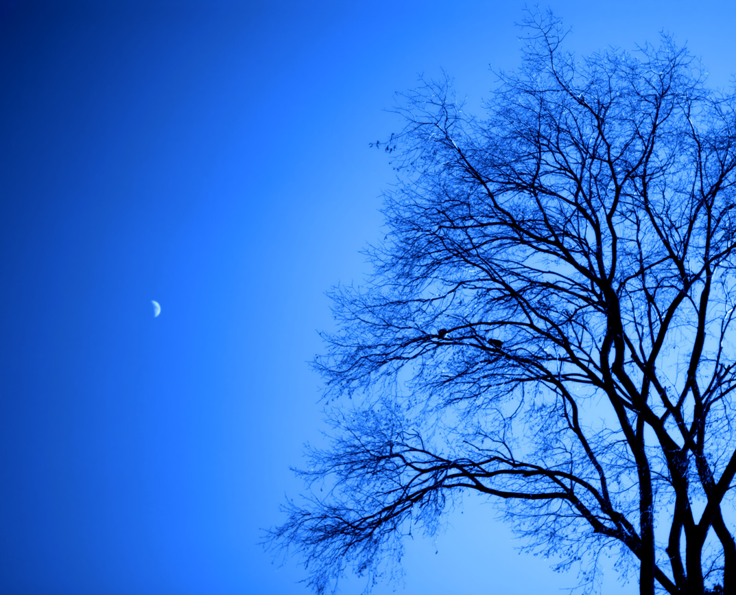 http://1.bp.blogspot.com/-gvhU-oYKO88/TuN9ijwEutI/AAAAAAAAYpU/cXvWRRjfrU8/s1600/Blue+Moon+Light+Wallpapers+%25283%2529.jpg