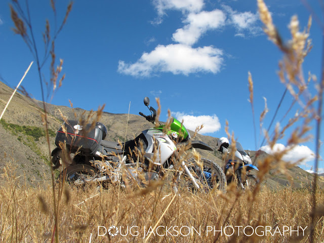 KLR650'S IN THE LONG GRASS