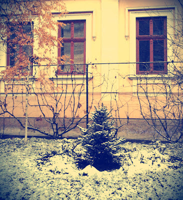 First snow Cluj-Napoca Romania 2012