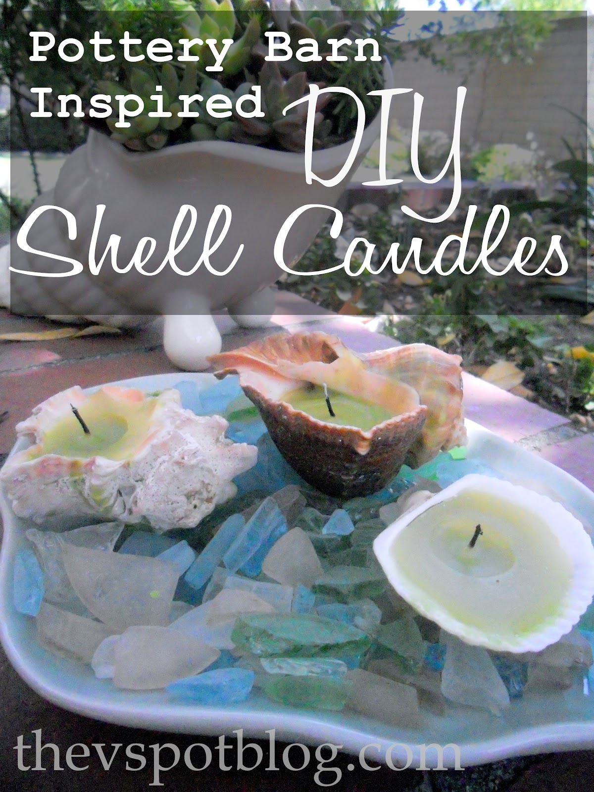 Make your own Pottery Barn style Shell Candles The V Spot