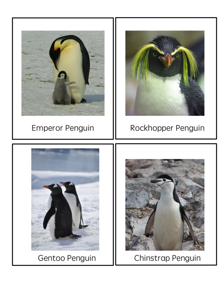 February 2018 Kapeesh Kaposh