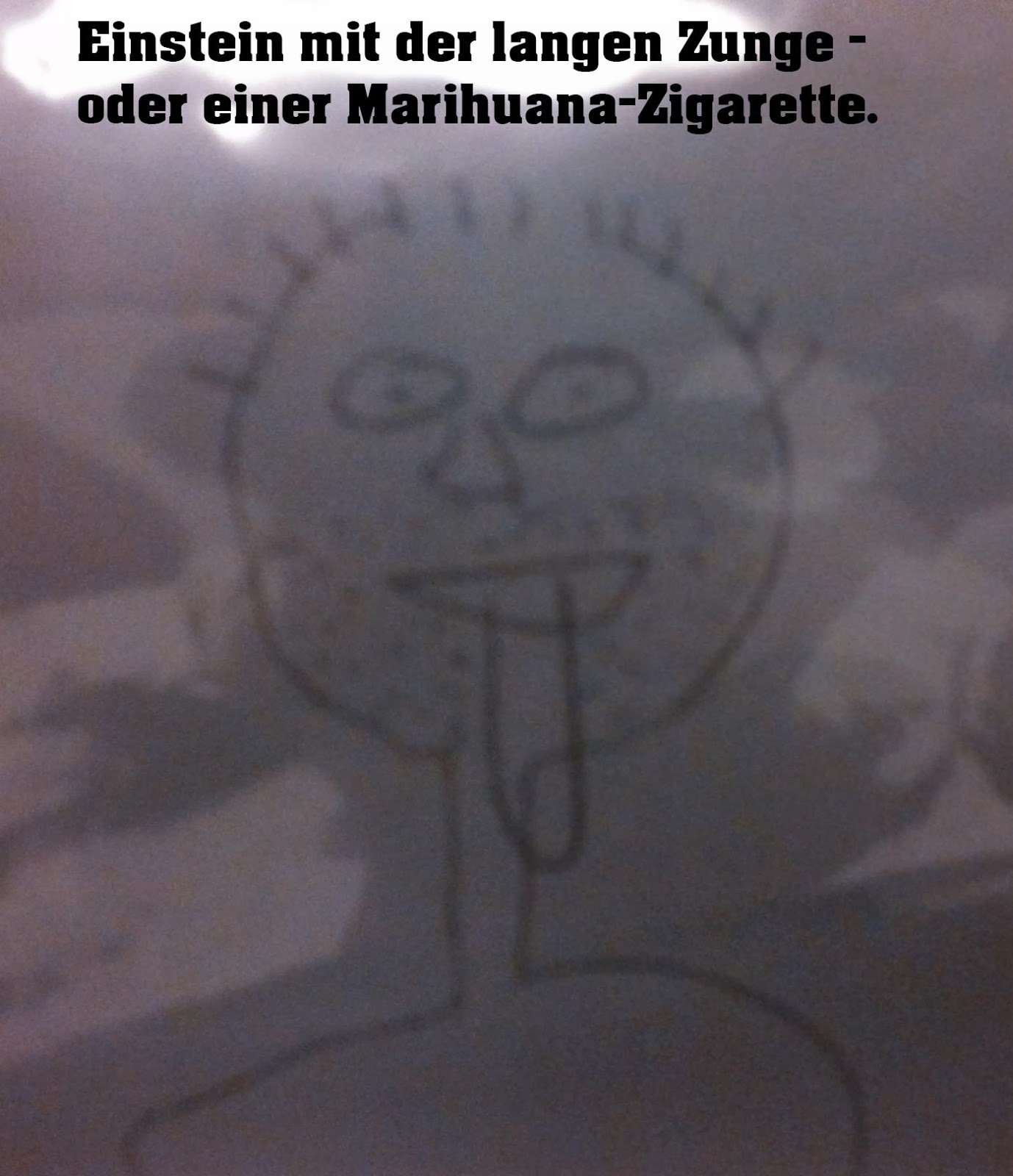 Animichile And Family