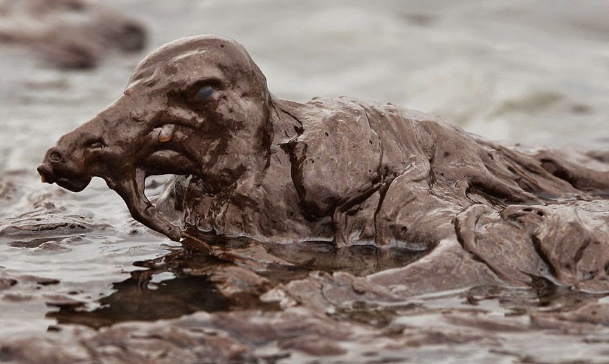 #4 Bird In Oil Spill - 22 Heartbreaking Photos Of Pollution That Will Inspire You To Recycle #4 Bird In Oil Spill - 22 Heartbreaking Photos Of Pollution That Will Inspire You To Recycle