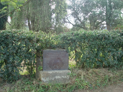 DSC03892.JPG