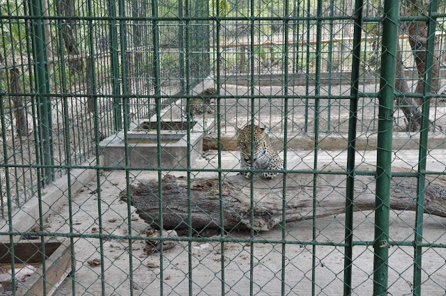 ShereheYetu Dar Es Salaam Zoo
