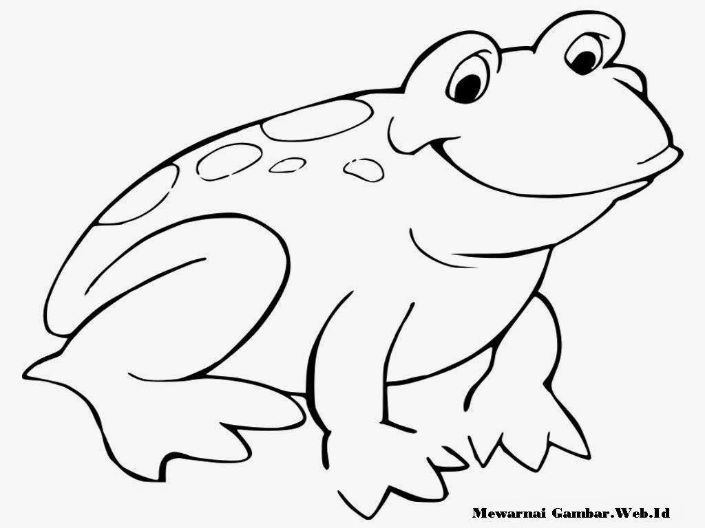 gambar katak kartun - gambar katak - gambar katak kartun