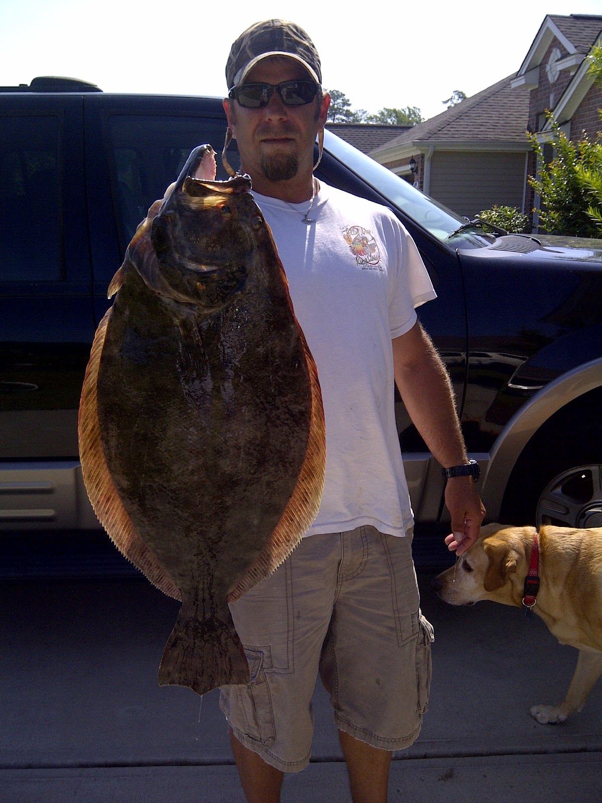 Huge Flounder