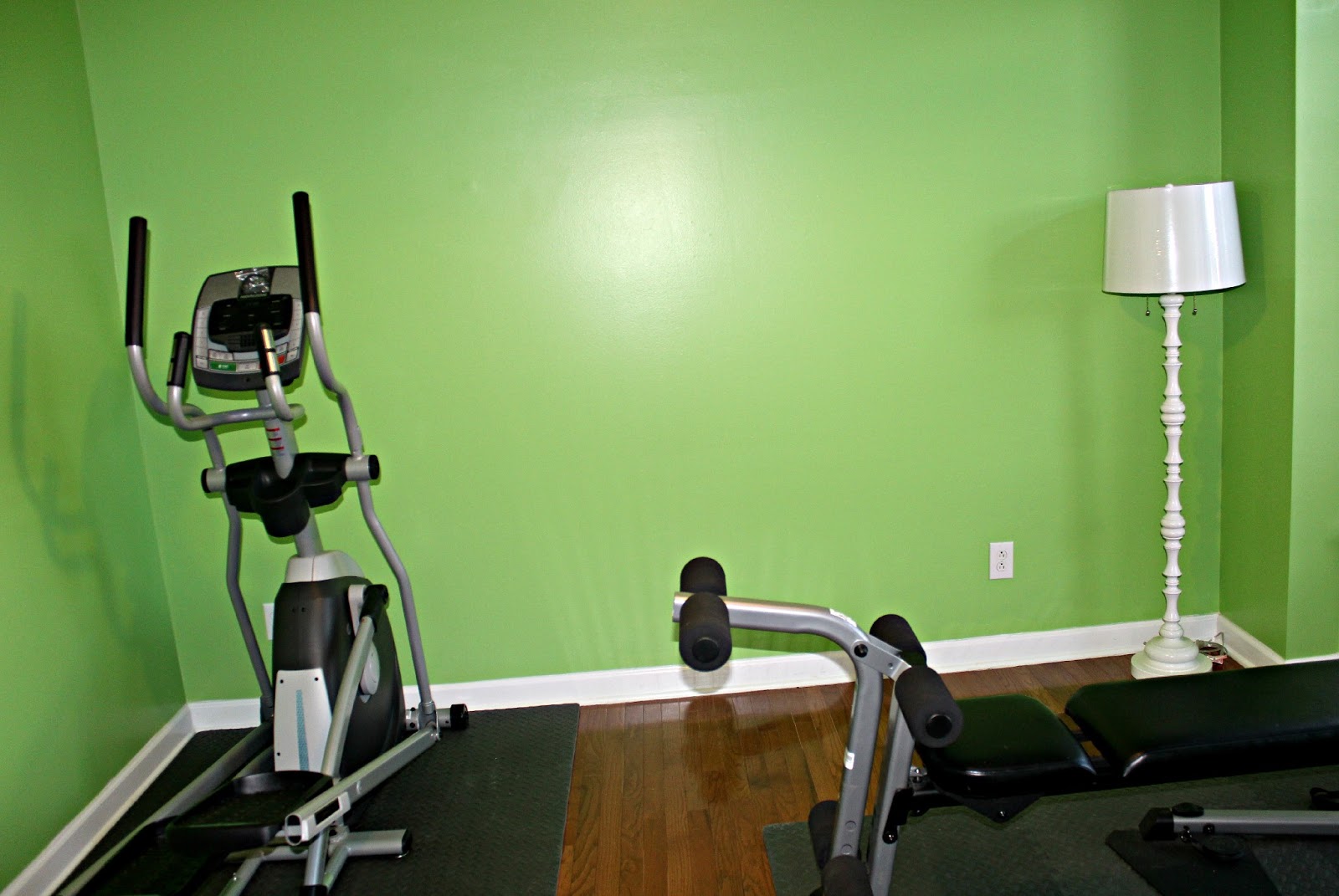 carolina on my mind Home Gym Green Envy?