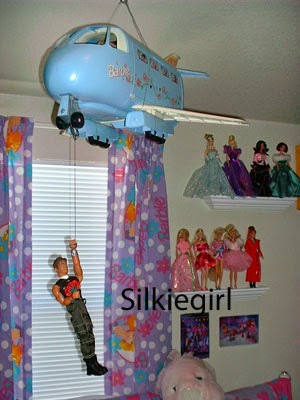 the barbie airplane