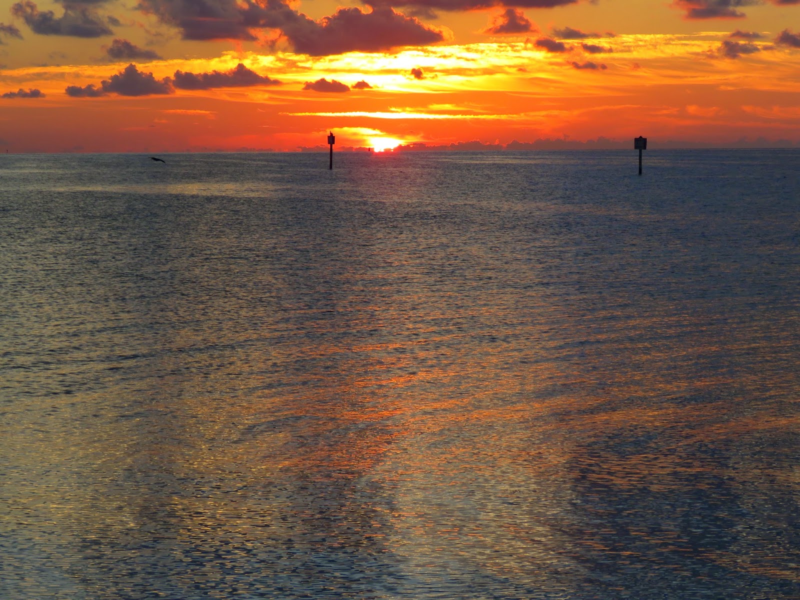 Key West vacation and visit guide Sunrise in Key West