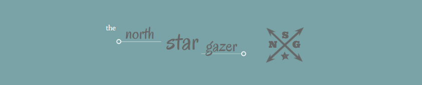 The North Star Gazer