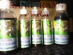 Budidaya Semut Rangrang Omset Jutaan Youtube