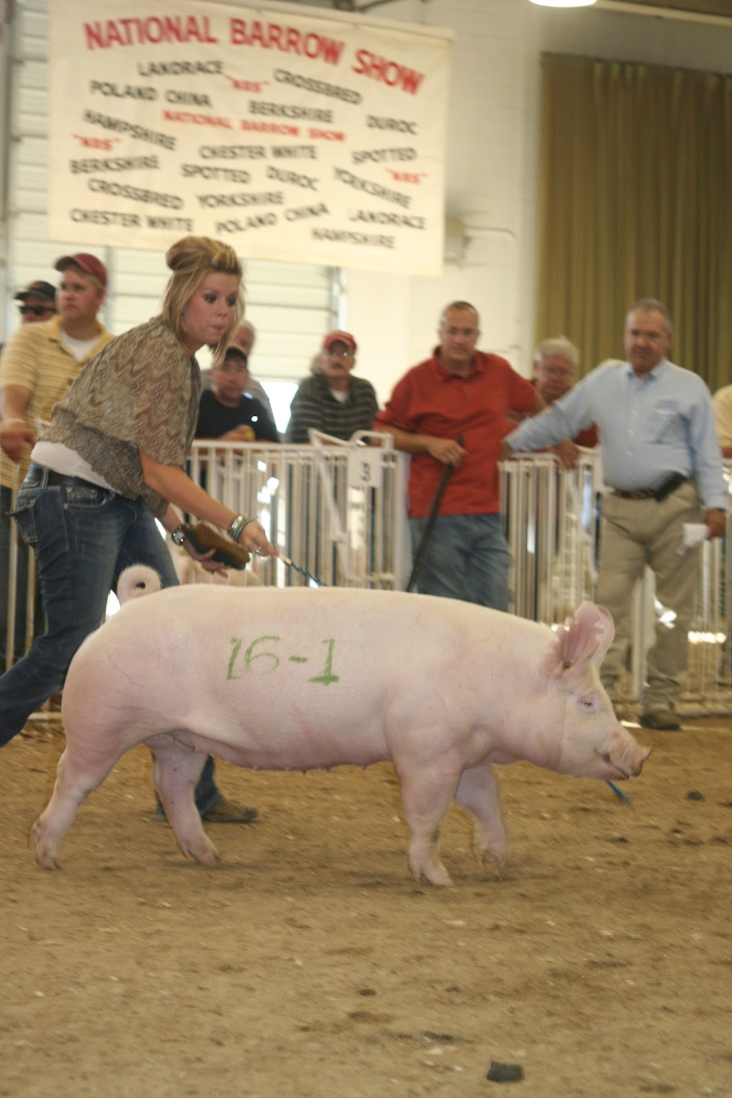 NSR Show & Sale Results 2012 National Barrow Show Yorkshire Boar and