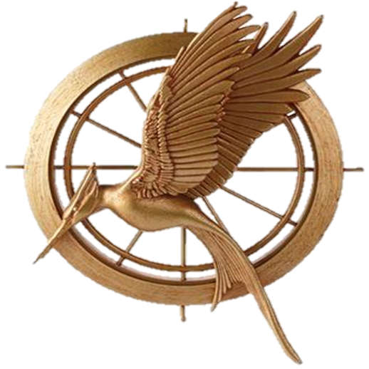 Christmas Tree Catching Fire Video at Gregory Colosimo blog