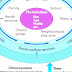 Ecological Systems Theory - Ecological Models Of Human Development
