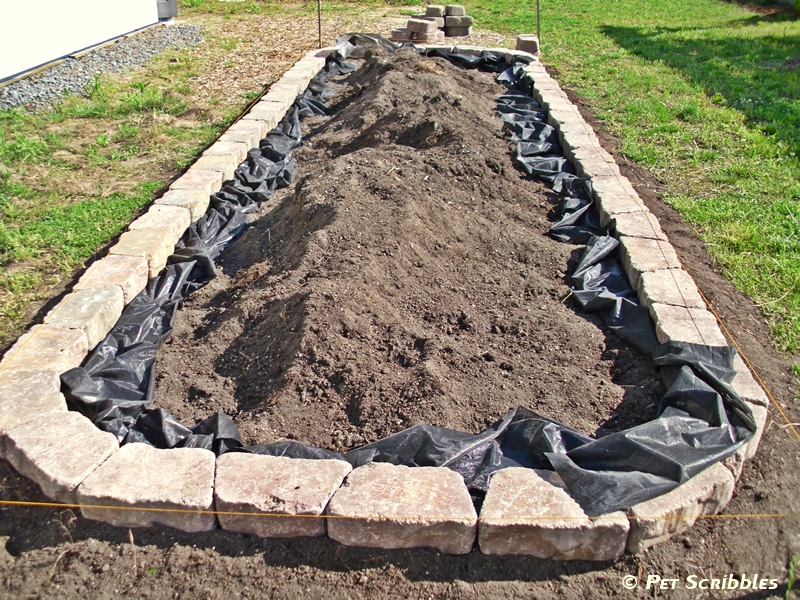 How to Build a Raised Garden Bed for Vegetables