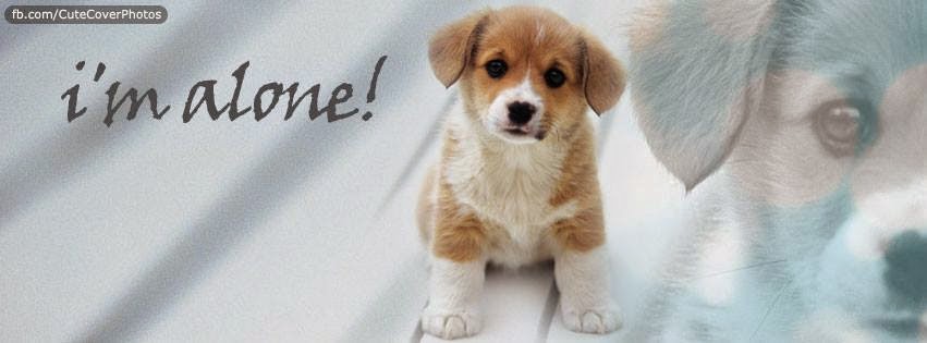 FB Cover Photos 2015 FB Cover Photos 2015