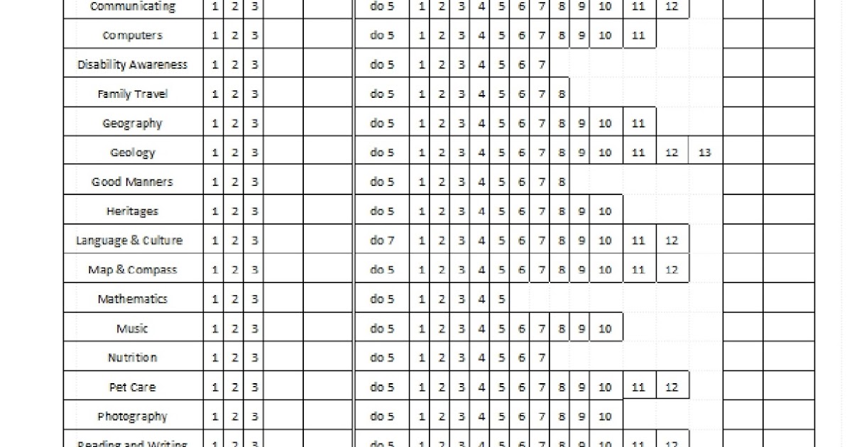 Webelos Attendance Chart