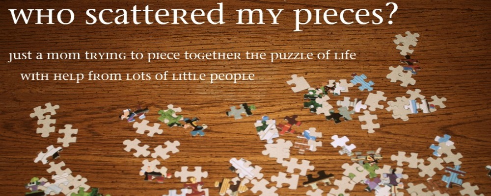Who scattered my pieces?