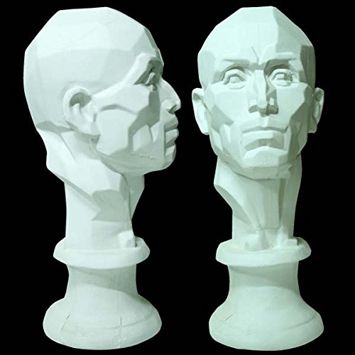 pics Planes Of The Head Bust gurney journey