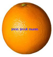 Jenis-jenis buah jeruk manis dan kandungannya