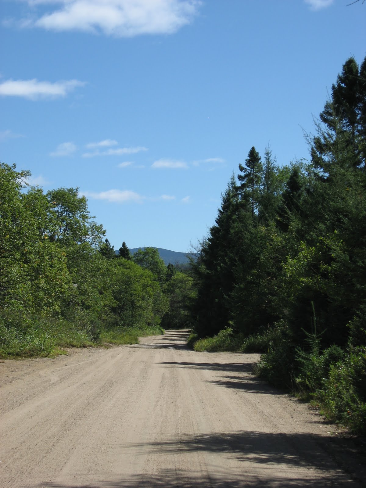 Dave Gibson Partnering For The Moose River Plains The Adirondack