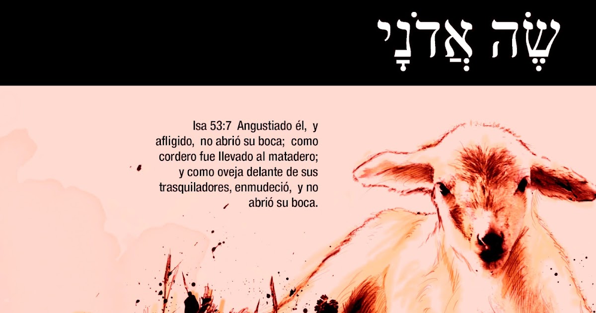 Isaías 537 537 Angustiado él, y afligido, no abrió su boca; como