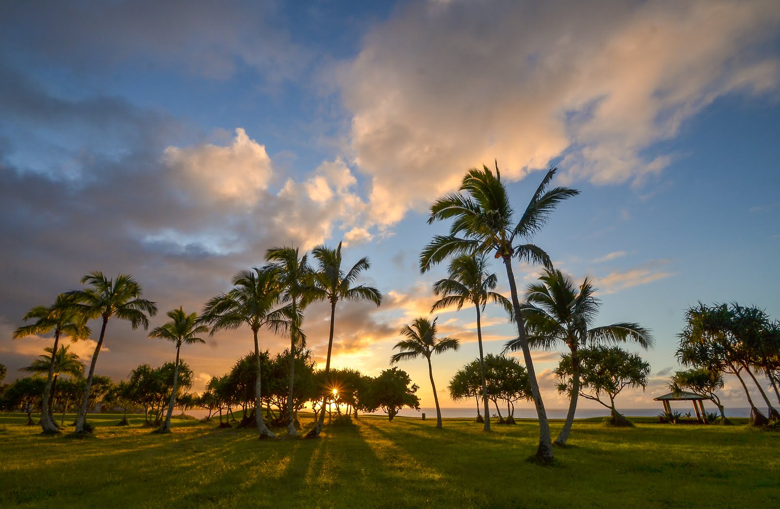 Kauai Real Estate For Sale Princeville Kauai Hawaii Condos for Sale