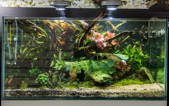 Картинка с форума