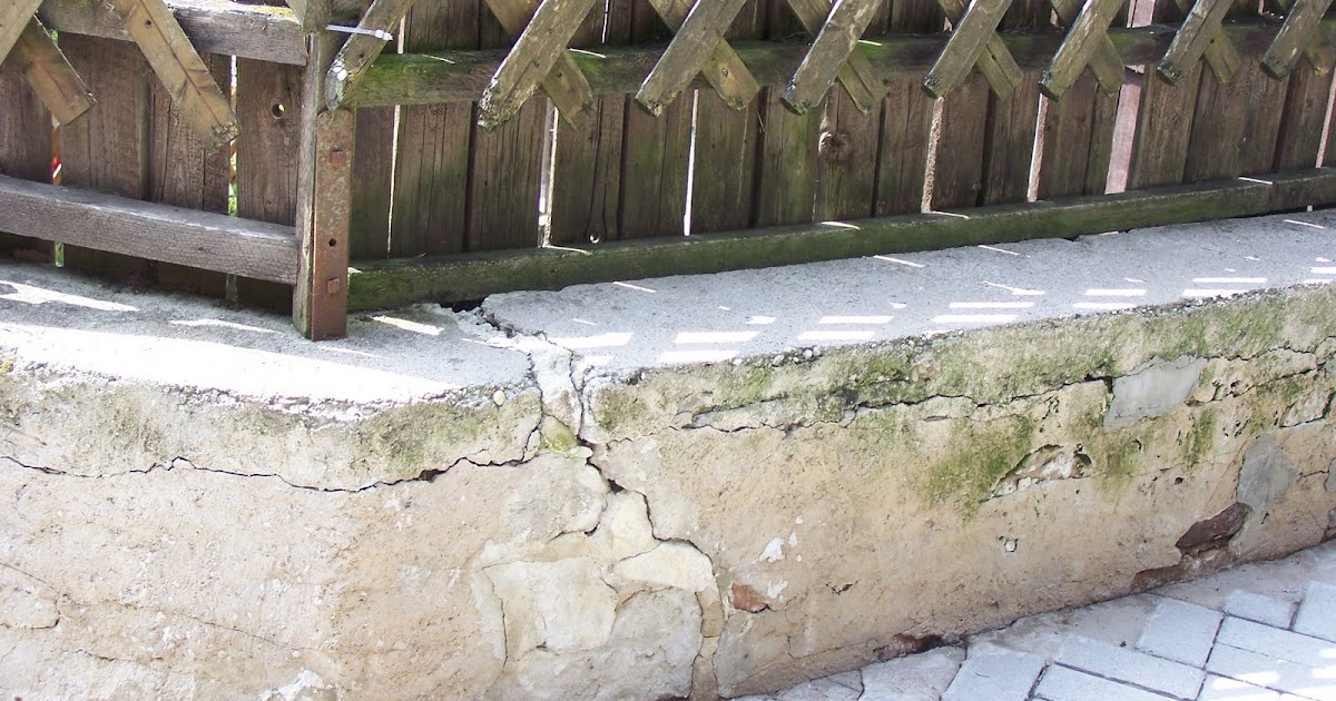 Tierhilfe Ibiza E V Auffangstation Gnadenhof Fur Tiere Korweiler