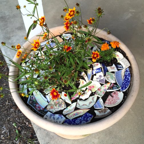 Dishfunctional Designs How To Stop Critters From Digging In Your